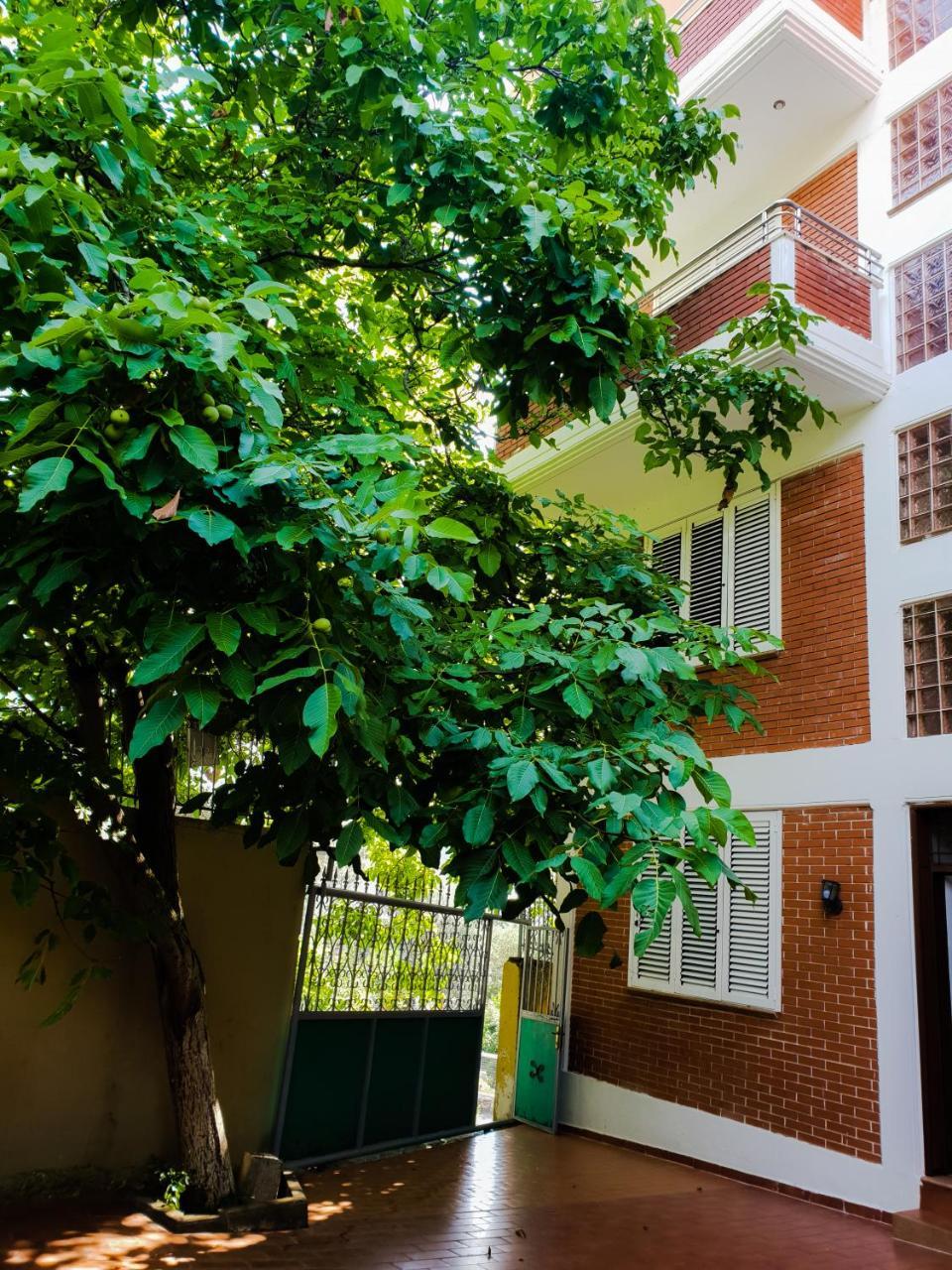 Lux Apartments فلورا المظهر الخارجي الصورة